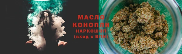 гидра Гусиноозёрск