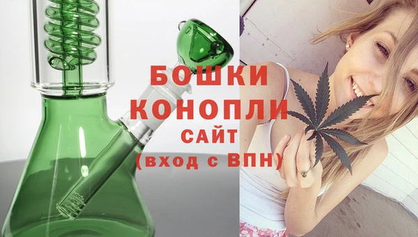 гидра Гусиноозёрск