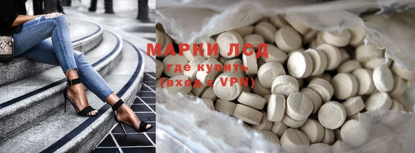 гидра Гусиноозёрск