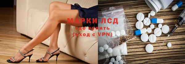 гидра Гусиноозёрск