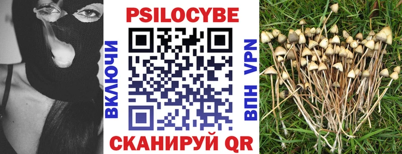 Галлюциногенные грибы Psilocybine cubensis  Купить где  Лосино-Петровский 